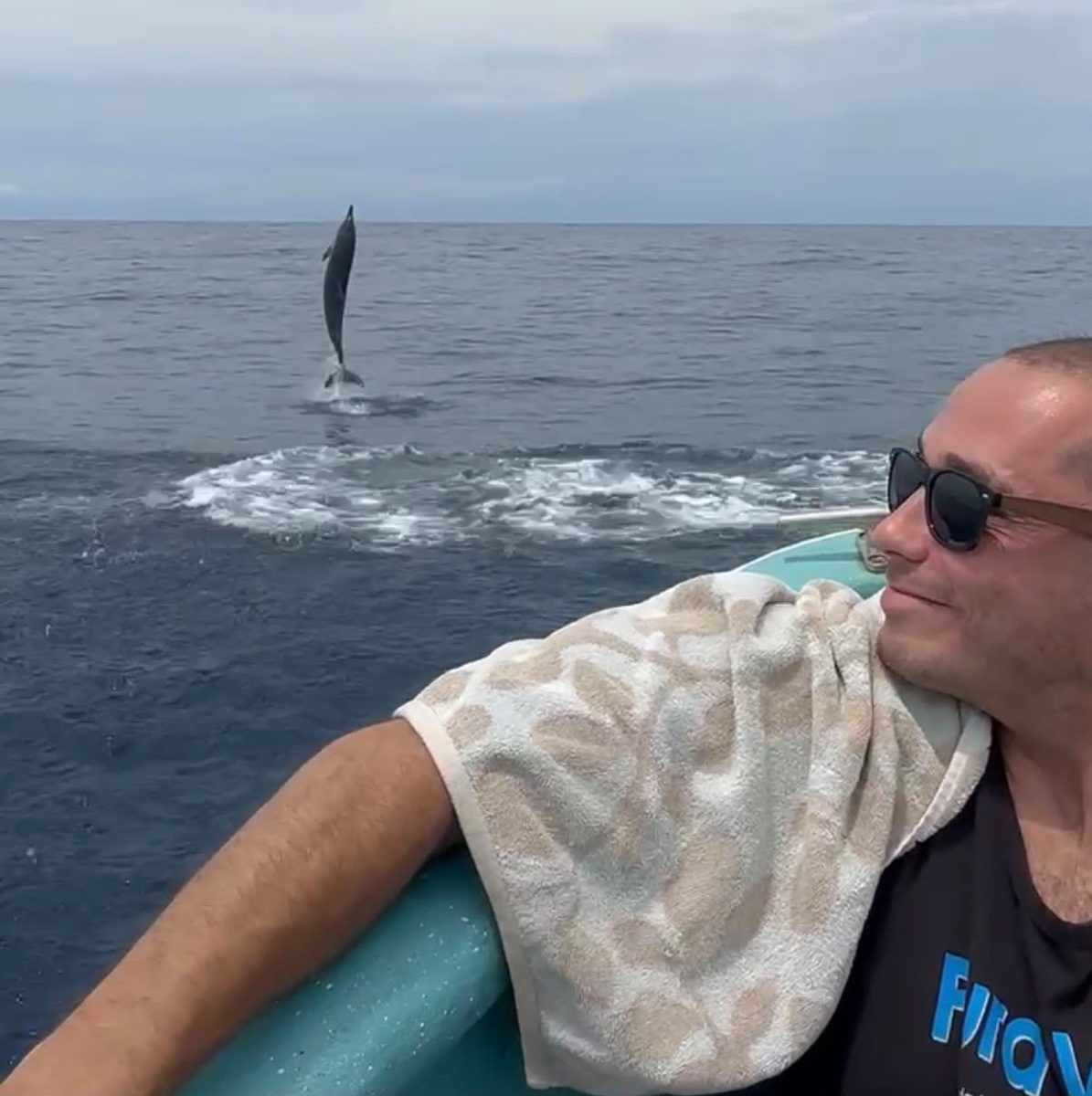 Dolphin Tours